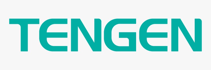 Tengen Global Logo