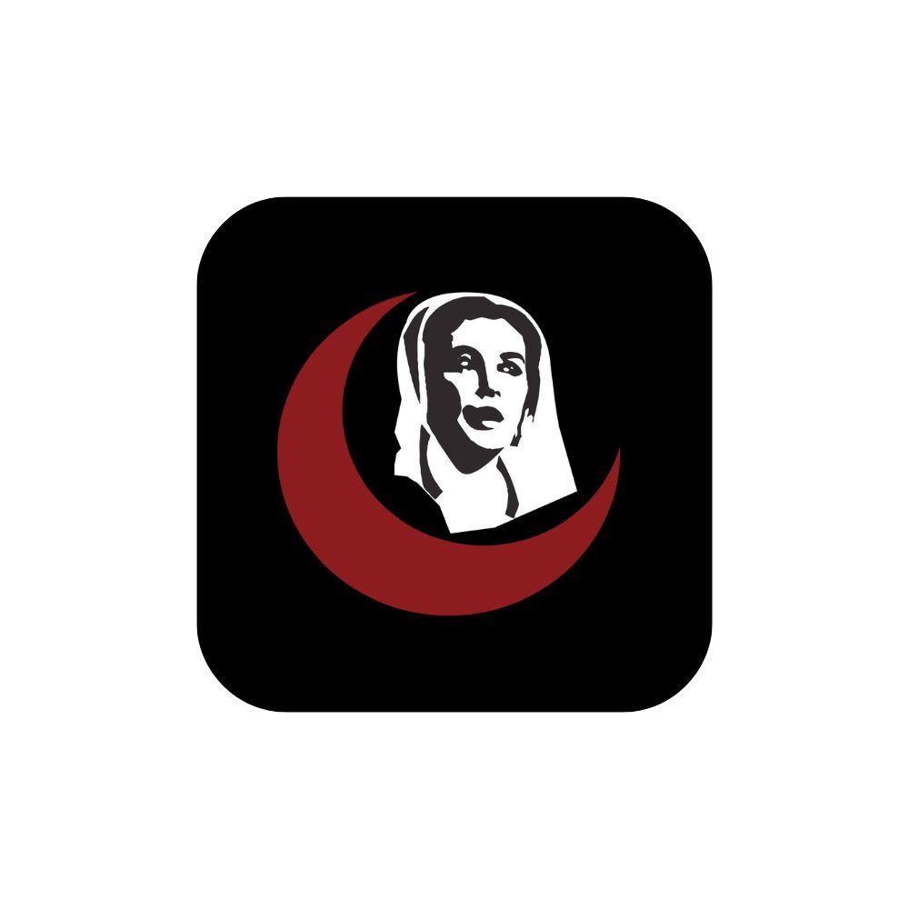 SMBB INSTITUT OF TRAUMA Logo